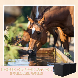 Horse Trough Water Purifier Cube